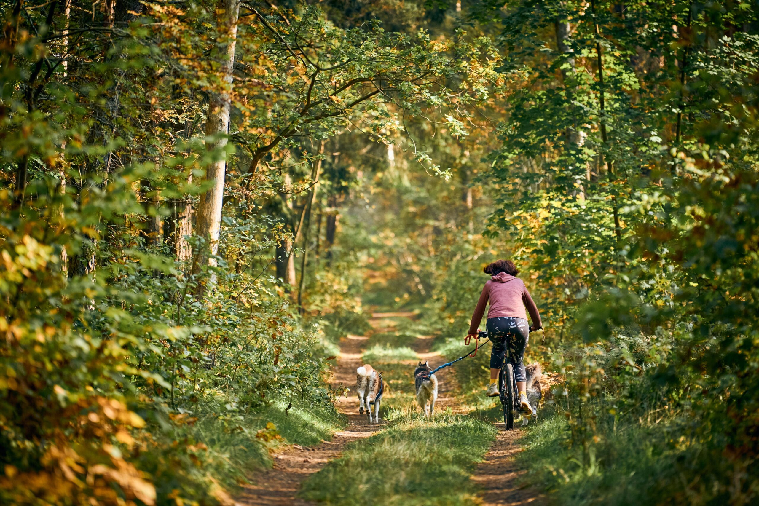 rutas ciclistas en Murillo de gallego